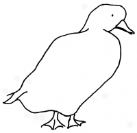 Duck 1